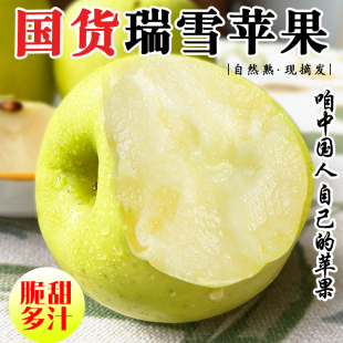 新货陕西白水瑞雪苹果当季 新鲜皮薄脆甜青皮孕妇水果青苹果礼盒装