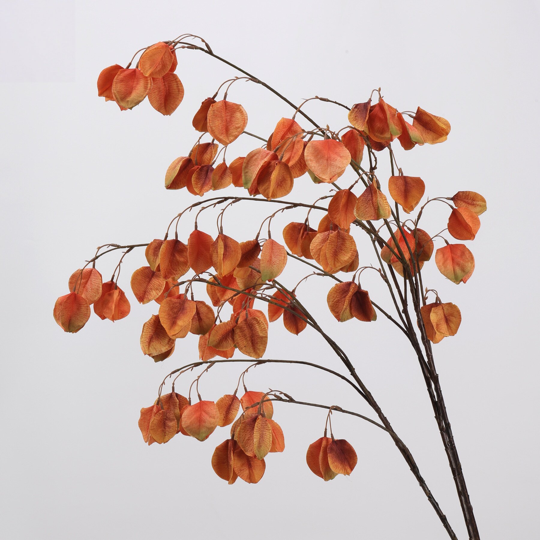 新品 手感保湿栾树花灯笼果仿真花仿干花假果实 中式年宵花装饰