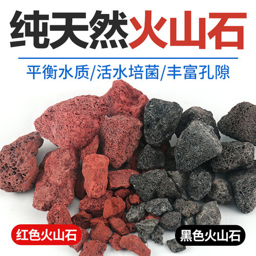 火山石细菌屋珊瑚骨养鱼过滤材料