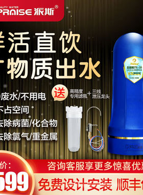 派斯（PRAISE）金滤媒厨房净水器家用直饮大流量净水机PS-10标配