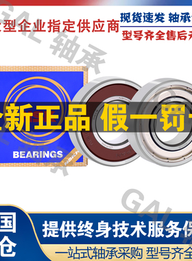 NSK轴承S 6206 ZZ DDU VV 2R S Z hZ NR轴承 P5