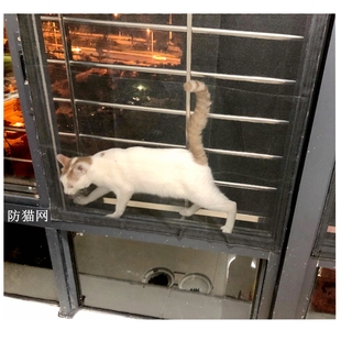 封窗防猫网免打孔纱窗防猫跳楼神器宠物防逃订制推拉窗簾防蚊自装