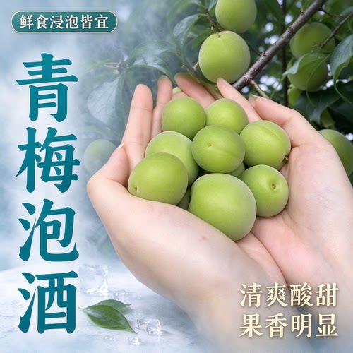 轻加工青梅鲜果泡酒半成品酸梅子青竹梅解腻专用冰糖腌制大果野生