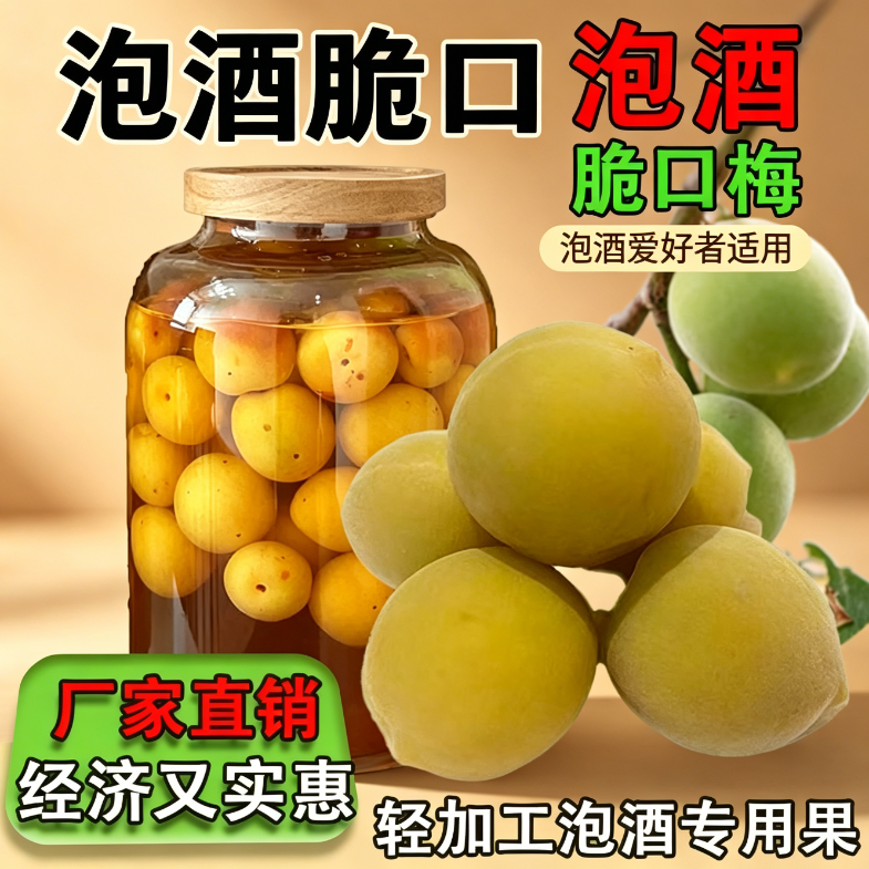 青梅泡酒专用现摘新鲜果腌制半成品果干小零食轻加工果脯方便便捷爽口蜜饯无需处理家庭果酒解馋省事开胃梅子酒酸甜冰糖泡制网红款