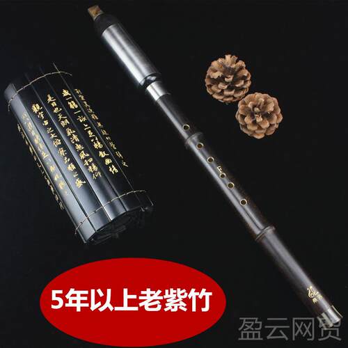 正品桑洛吹巴乌紫竹初学考级业奏型DC降专BGF调横竖吹儿演童成人