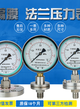 耐震不锈钢法兰式隔膜压力表YTP-100MF/ML衬四F耐腐钽片非标定做