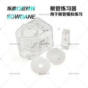 牙科根管练习器 根管练习牙 牙科口腔牙齿 根管治疗模型