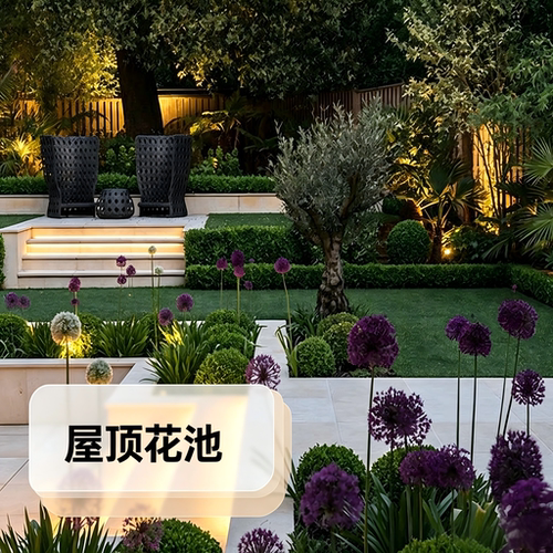 屋顶花园设计花池定制植物配置施工园林景观设计