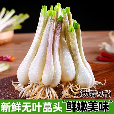 藠头新鲜蔬菜鲜蔡家领券