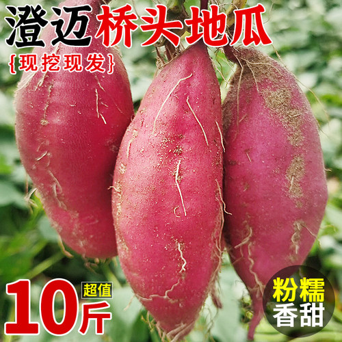 海南澄迈富晒桥头地瓜新鲜现挖