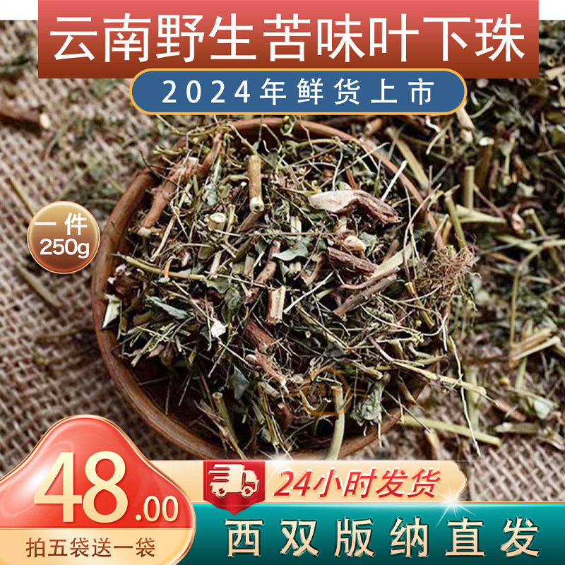 云南苦味叶下珠珍珠草新货250g干净超苦四件包邮西双版纳散装