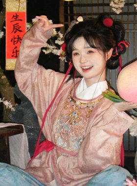 唐制汉服女粉色绣花圆领袍蓝色灯笼裤中国风套装汉元素日常小个子