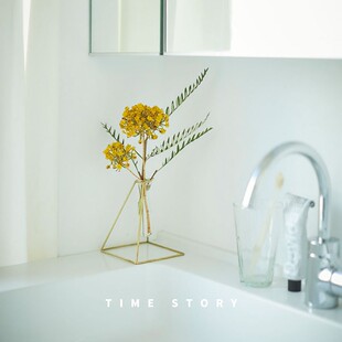 日本进口 Horn Please 黄铜带玻璃试管花瓶架装饰架花器套装