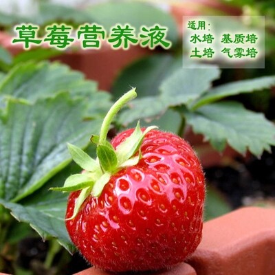 营养液原料粉剂无土栽培草莓气雾培水培草莓肥料山崎草莓配方包邮