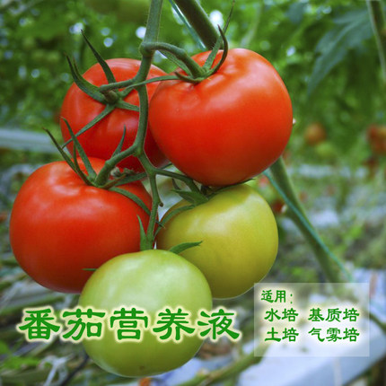 营养液原料粉剂无土栽培番茄气雾培水培番茄肥料山崎番茄配方包邮