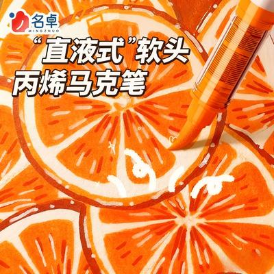 120色直液式丙烯马克笔软头