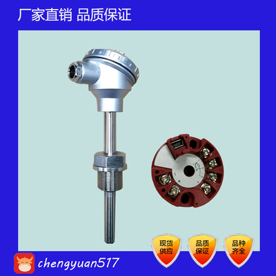 SBWR-2260/230 SBWR-2280/230一体化温度变送器