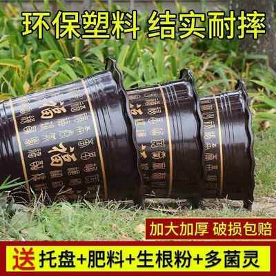 花盆大口径30以上的塑料