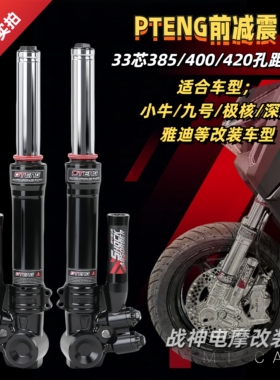 PTENG前减震NXT小牛N1S九号M95C极核AE5深远劲战电动车33芯避震器