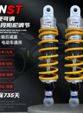 LNST后减震FXT小牛FX风速版NXT九号M5-100/M95C极核AE4/AE5电动车