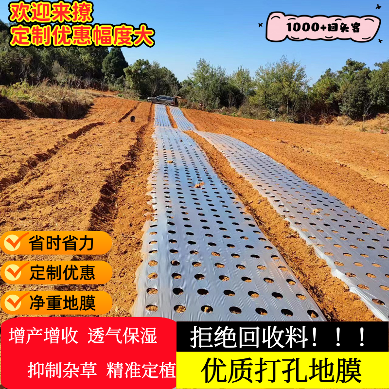 打孔地膜农用种植防草菜地玉米地开孔带孔薄膜黑膜银黑地膜免打孔,农机/农具/农膜,农用薄膜,淘宝优惠券,粉丝福利购,淘宝优惠卷