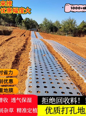 打孔地膜农用种植防草银黑