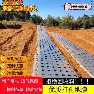 打孔地膜农用种植防草菜地玉米地开孔带孔薄膜黑膜银黑地膜免打孔
