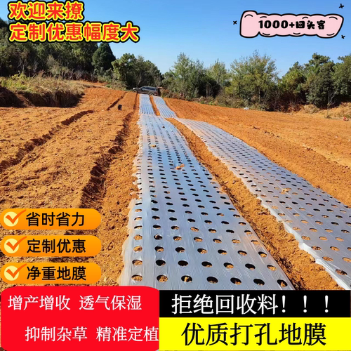 打孔地膜农用种植防草银黑