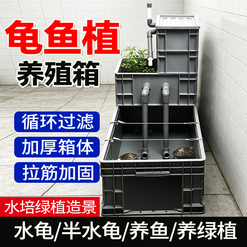 龟鱼缸养龟箱循环过滤加厚塑料养鱼箱水培绿植造景养龟多功能箱