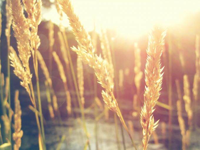 Pantalon collant - Ref 762165 Image 4