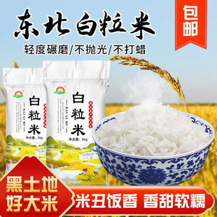 春晖金谷园白粒米5kg东北大米辽星食堂餐厅外卖雪花米丑米色白米