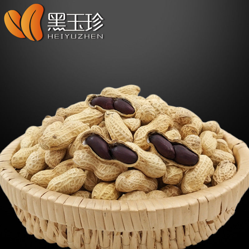 黑玉珍山东黑花生/云南富硒带壳生果2500g 新货  山东黑花生