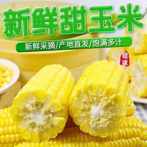 广西新鲜采摘甜玉米5斤/8斤脆甜多汁带叶子发货时令果蔬