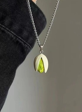 开心果简约精致项链2025新款