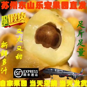 苏州东山白玉枇杷新鲜采摘2500g