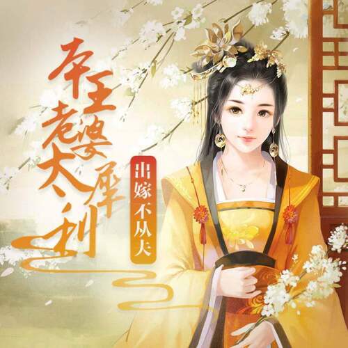 【天猫精灵有声内容】出嫁不从夫：本王老婆太犀利