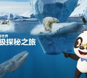 熊猫博士看世界：南北极探秘之旅 优酷新知 【天猫精灵视频内容】