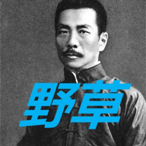 【天猫精灵有声内容，非实体书】喜马拉雅精选内容，《野草》-鲁迅