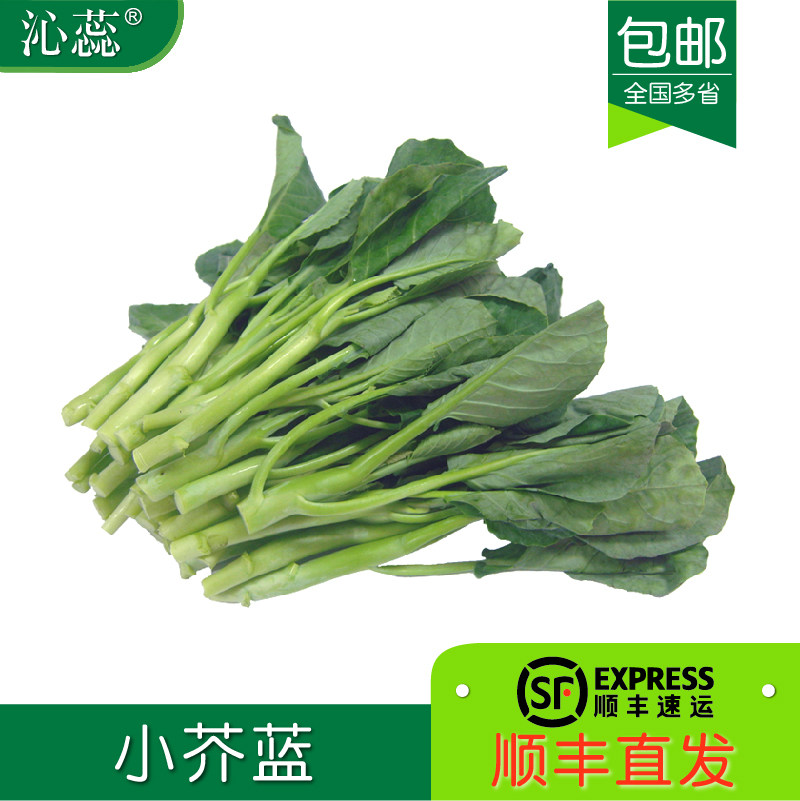 【沁蕊】小芥兰蓝新鲜广东芥兰菜心蔬菜白灼多省包邮甜芥兰苗仔