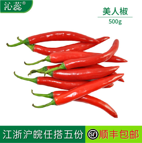 【沁蕊】新鲜美人椒500g海花辣椒