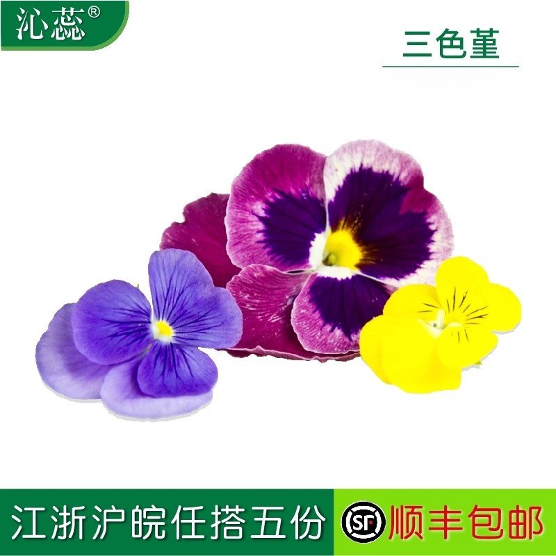 【沁蕊】新鲜三色堇约50朵/盒酒店西餐花草摆盘日料烘焙装饰,水产肉类/新鲜蔬果/熟食,其它,淘宝优惠券,粉丝福利购,淘宝优惠卷