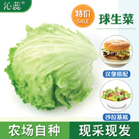 【沁蕊】新鲜球生菜1斤圆生菜 沙拉菜西生菜色拉蔬菜500g