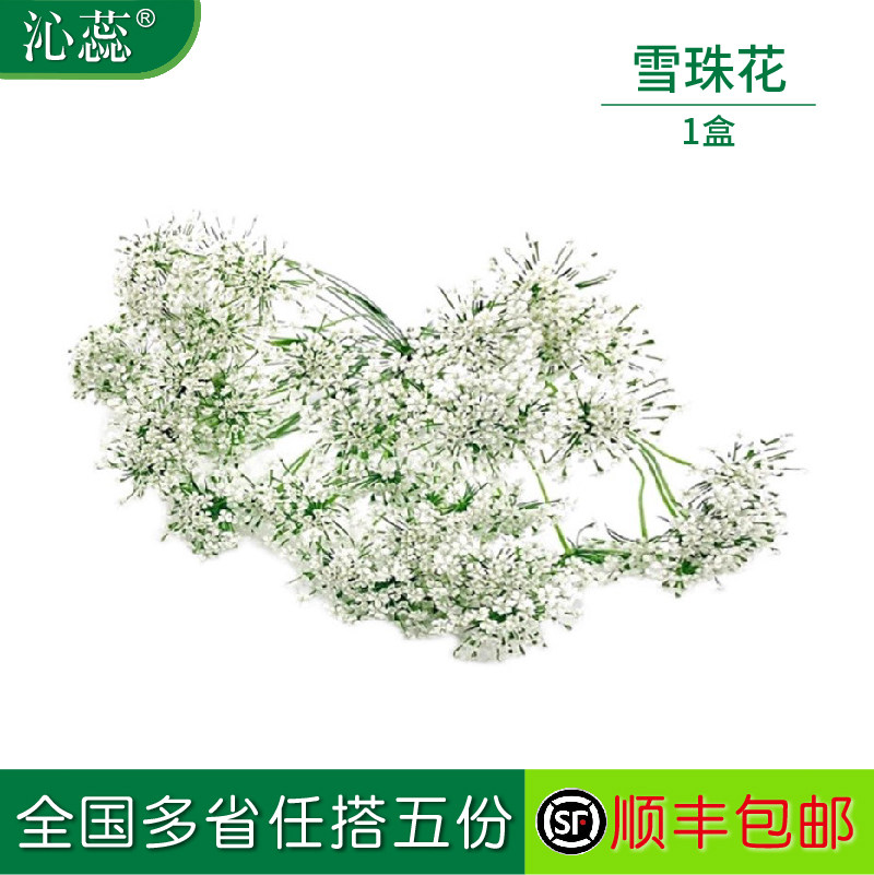 雪珠花摆盘菜装饰餐饮摆盘