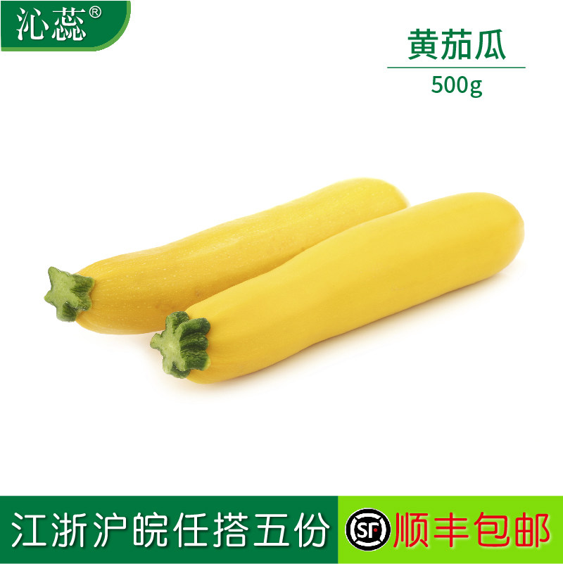 【沁蕊】新鲜黄节瓜500g 黄西葫芦 黄茄瓜