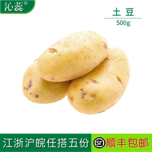 马铃薯 新鲜蔬菜新鲜土豆 500g 沁蕊