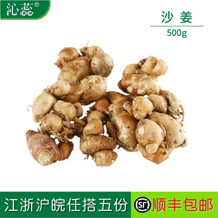 新鲜沙姜 山萘 沁蕊 500g