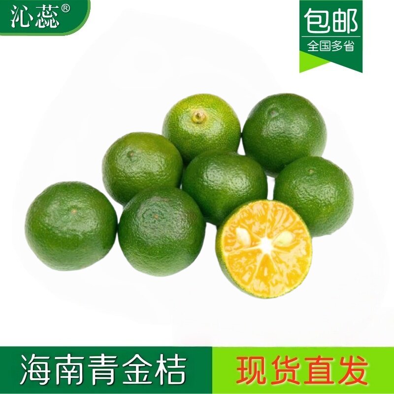 新鲜海南3斤装多省包邮小金桔