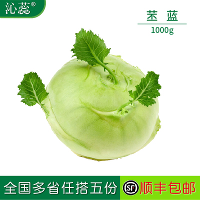 新鲜苤蓝大头菜大芥菜头撇了疙瘩青球甘蓝蔬菜农家撇啦丕