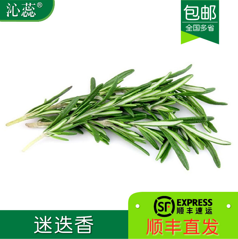 新鲜迷迭香250g 迷失迷迪香烧烤烘焙调料西餐煎牛排食用香料配料