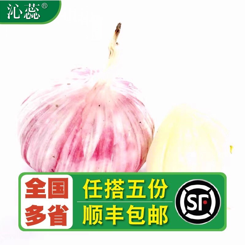 【沁蕊】新鲜四川紫皮蒜头